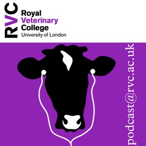 Royal Veterinary Podcast logo